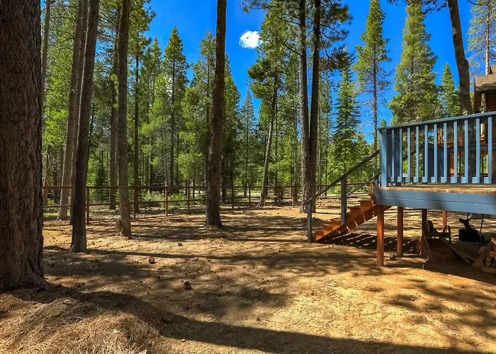Willow'S Hideaway - Pet Friendly Cozy Cabin